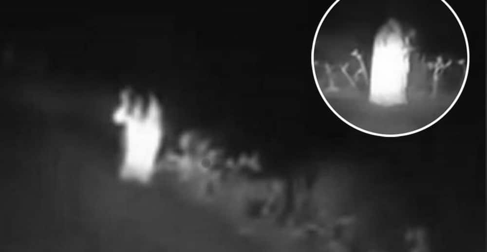 Dear Darla - The Ghost of Monte Ne