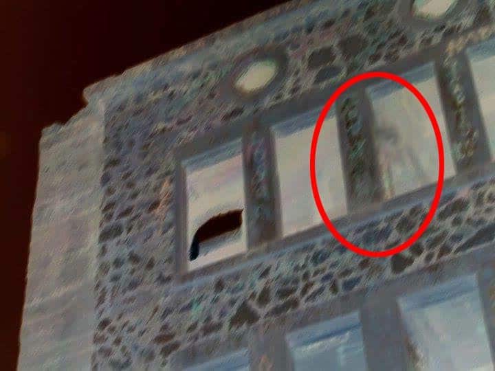Picture of Dear Darla's Ghost